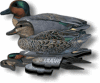 GREEN WING TEAL